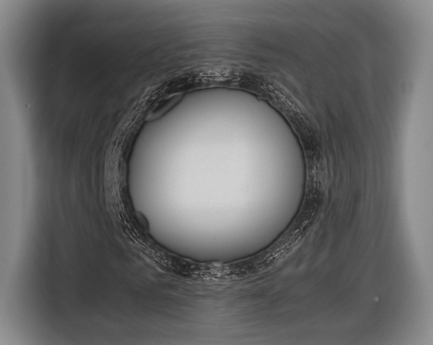 X0000116600961200912181143