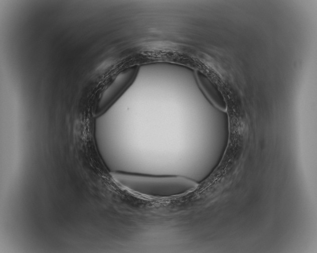 X0000116600965200912181143