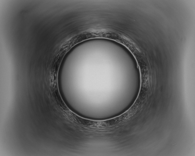 X0000116600966200912181143