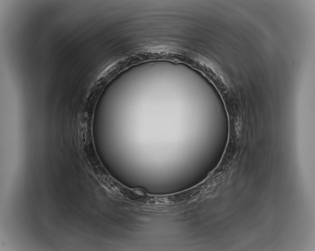 X0000116600968200912181143
