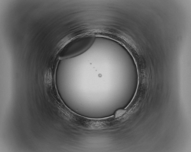 X0000116600969200912181143