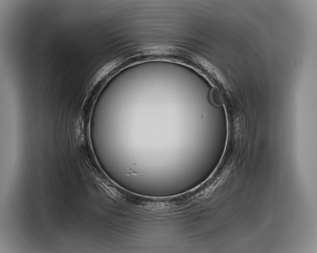 X0000116600970200912181143