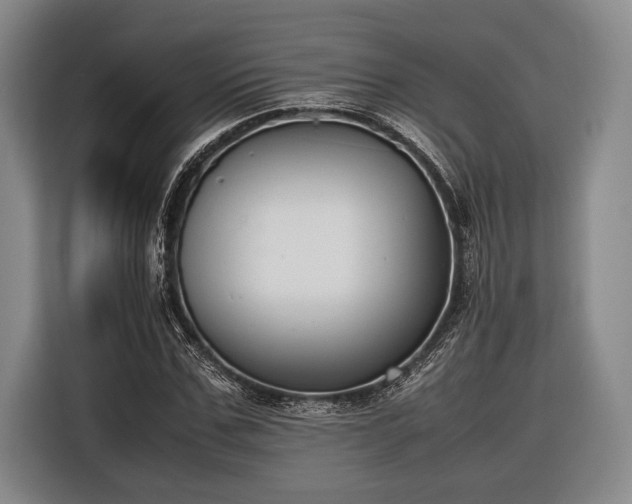 X0000116600971200912181143