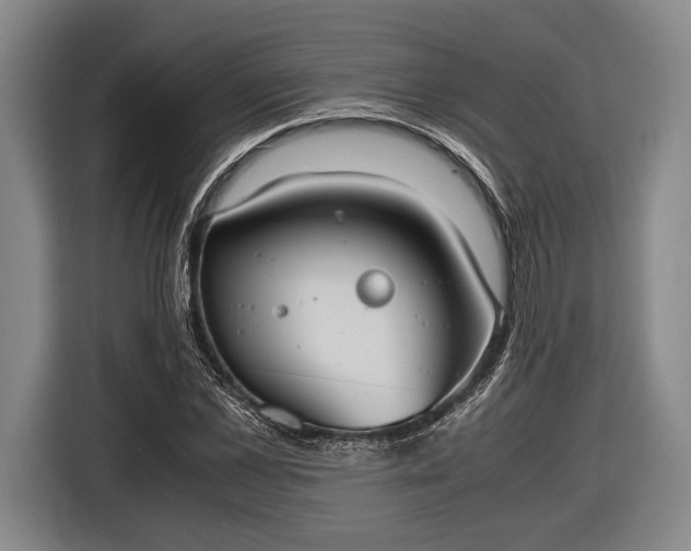X0000116600973200912181143