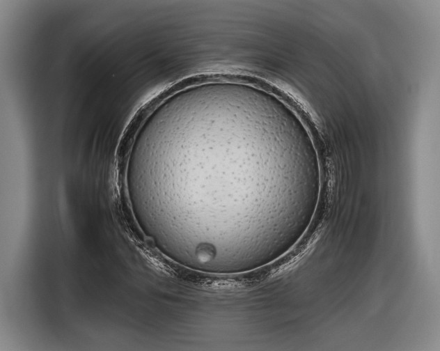 X0000116600974200912181143