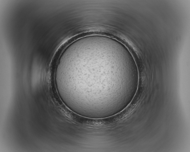 X0000116600975200912181143