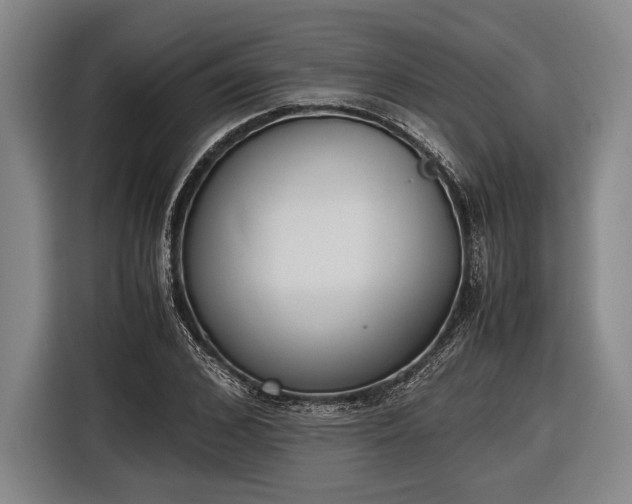 X0000116600976200912181143