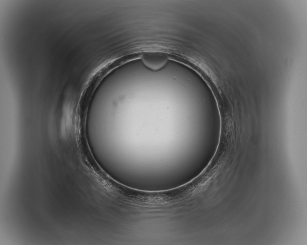 X0000116600979200912181142