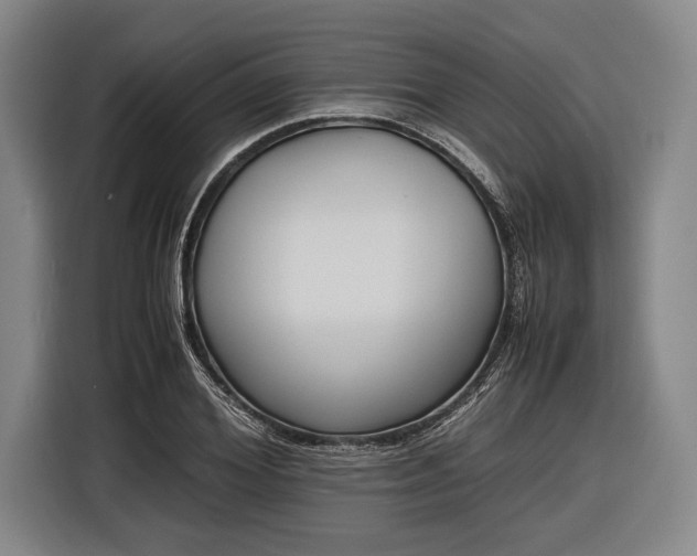 X0000116600980200912181142