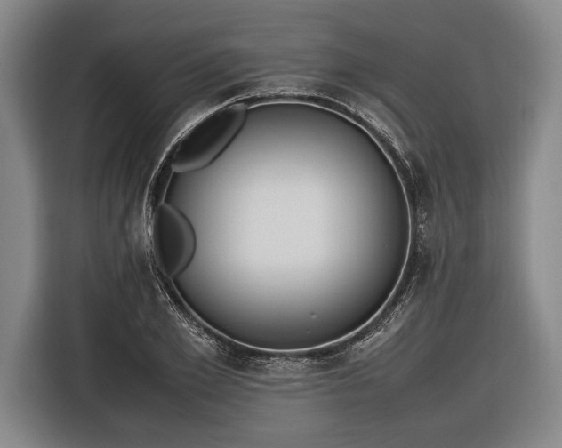 X0000116600981200912181142