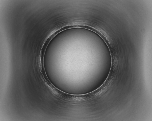 X0000116600982200912181142