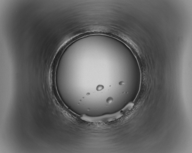 X0000116600983200912181142