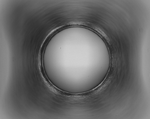 X0000116600984200912181142