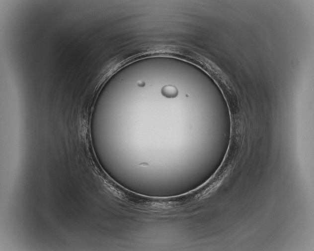 X0000116600985200912181142