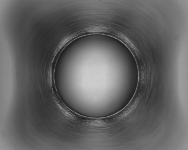X0000116600986200912181142