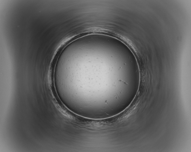 X0000116600987200912181142