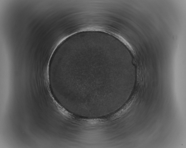 X0000116600988200912181142