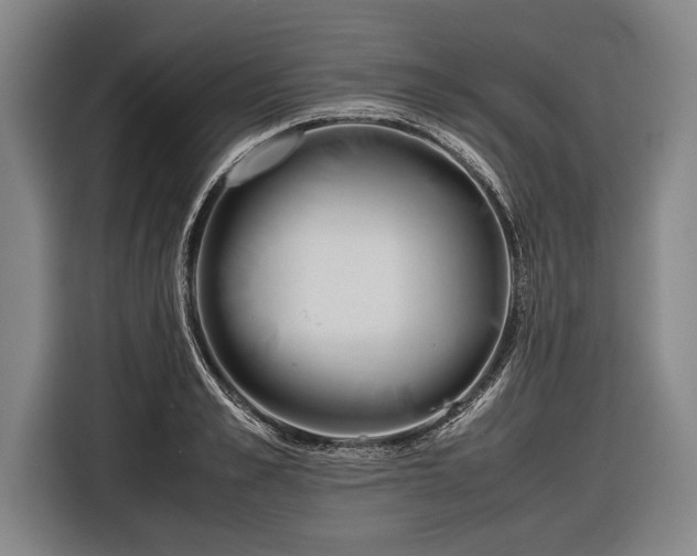 X0000116600989200912181142