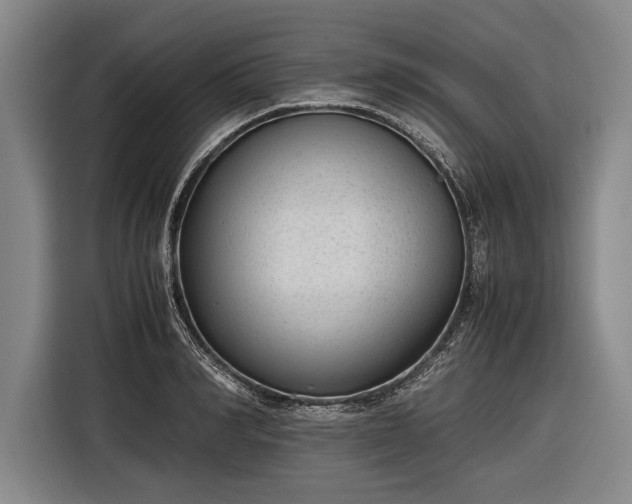 X0000116600990200912181142
