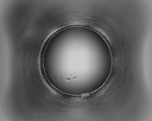X0000116600991200912181142