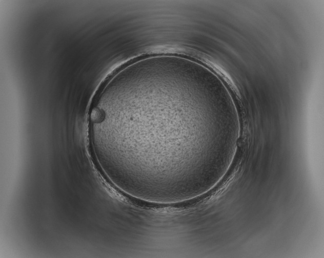 X0000116600992200912181142