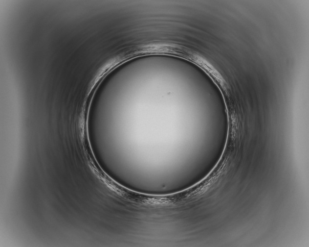 X0000116600994200912181142