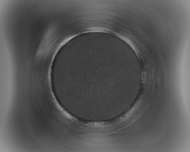 X0000116600995200912181142