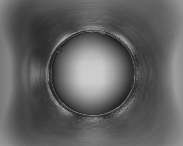 X0000116600999200912181142