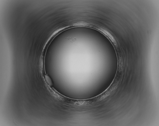 X0000116601000200912181142