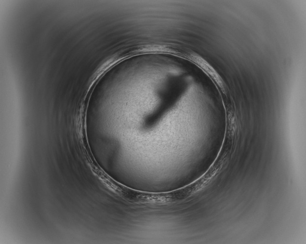 X0000116601002200912181142