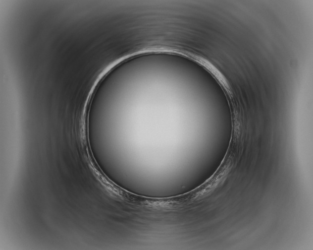 X0000116601004200912181142