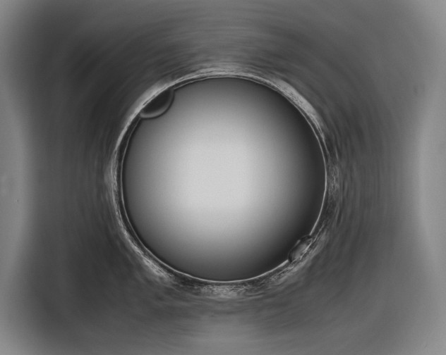 X0000116601005200912181142