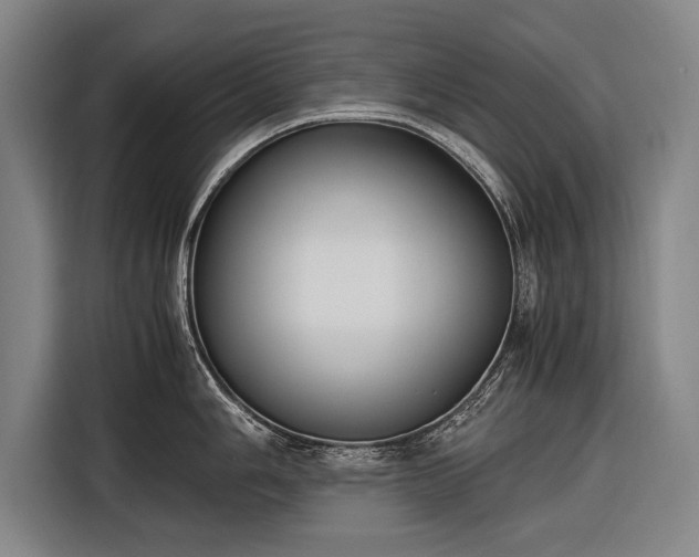 X0000116601006200912181142