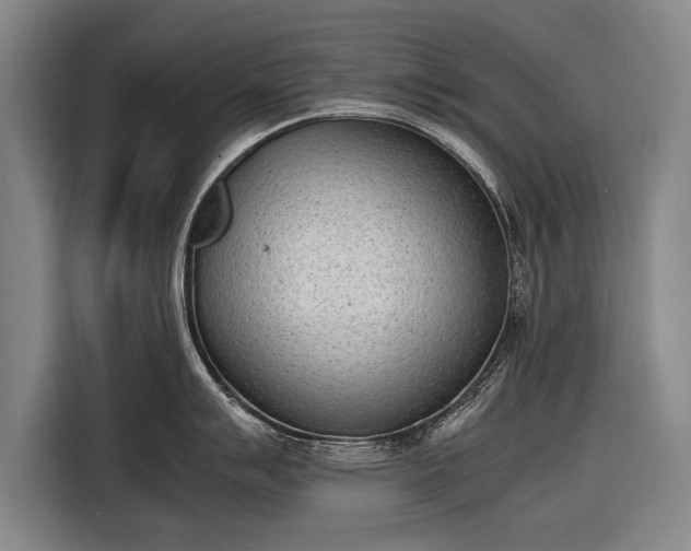 X0000116601007200912181142