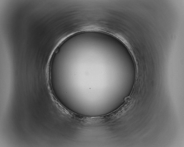 X0000116601008200912181142