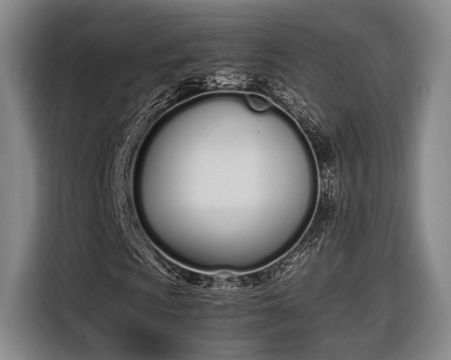X0000116601009200912181141