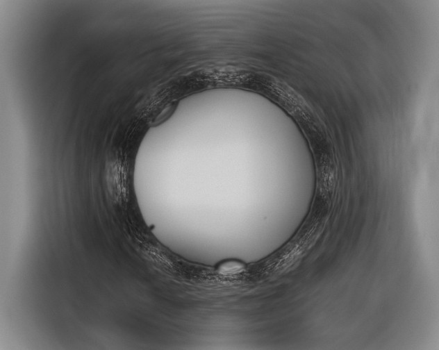 X0000116601010200912181142