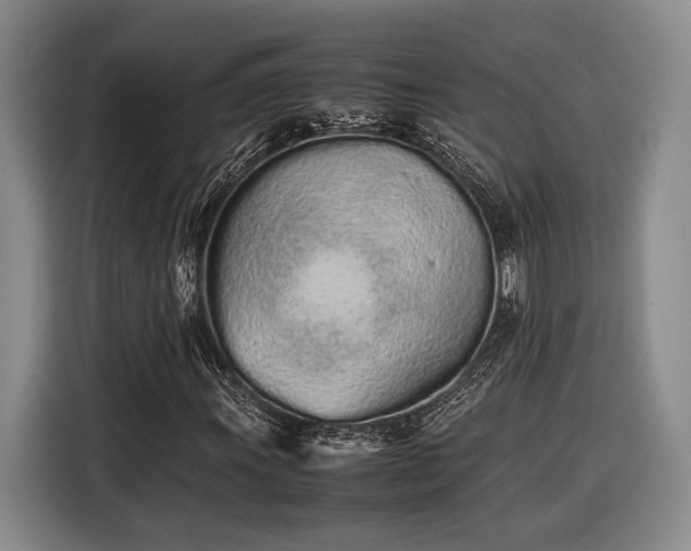 X0000116601011200912181142