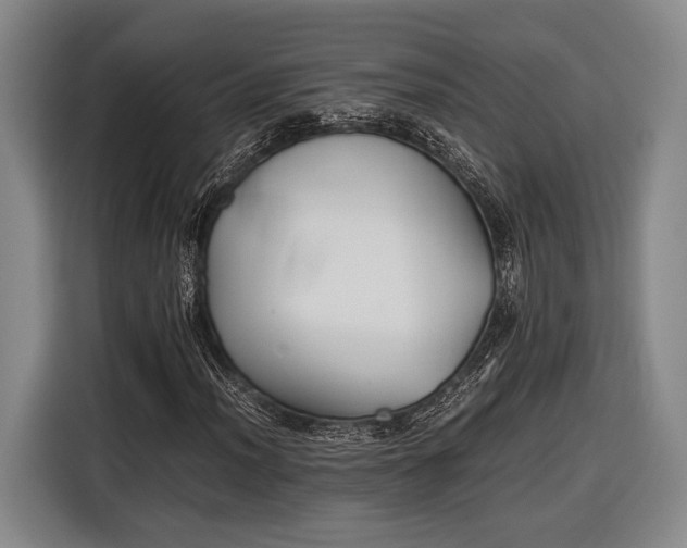 X0000116601012200912181142