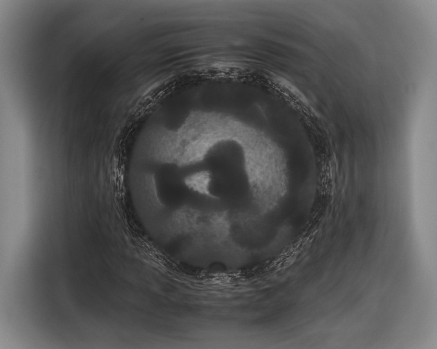 X0000116601013200912181142