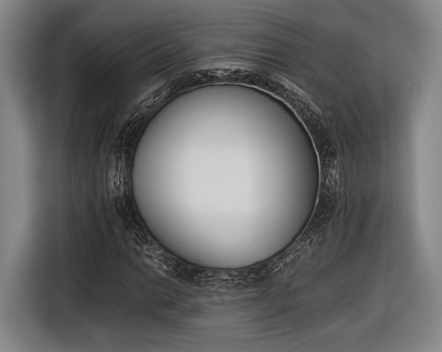 X0000116601014200912181142