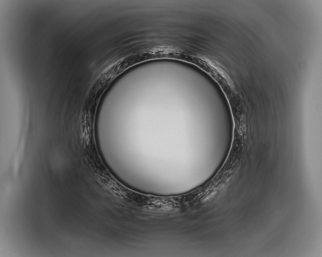 X0000116601015200912181142