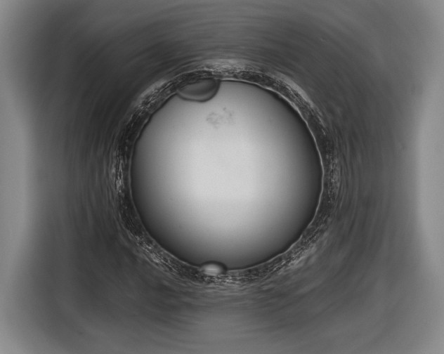 X0000116601016200912181142