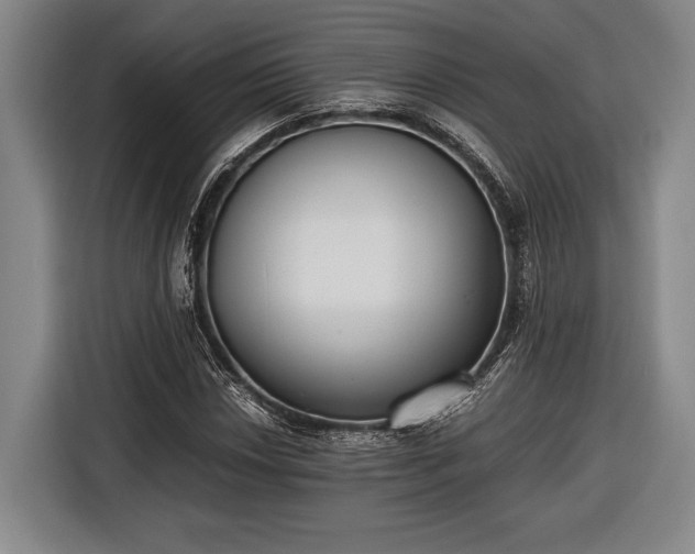 X0000116601018200912181142