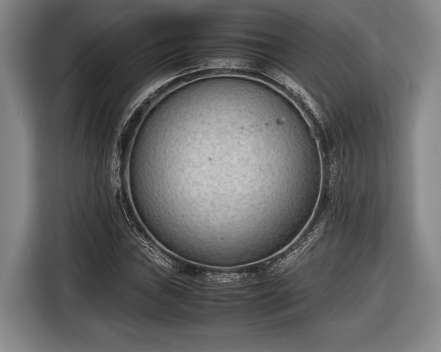 X0000116601019200912181142