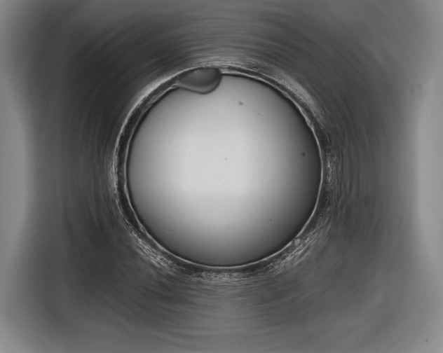 X0000116601020200912181142