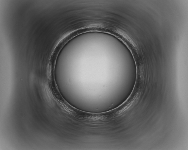 X0000116601021200912181142