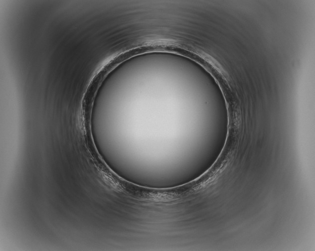 X0000116601022200912181142