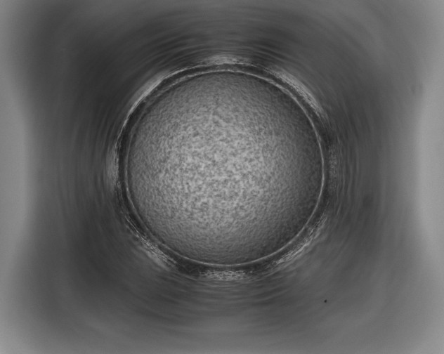 X0000116601023200912181142