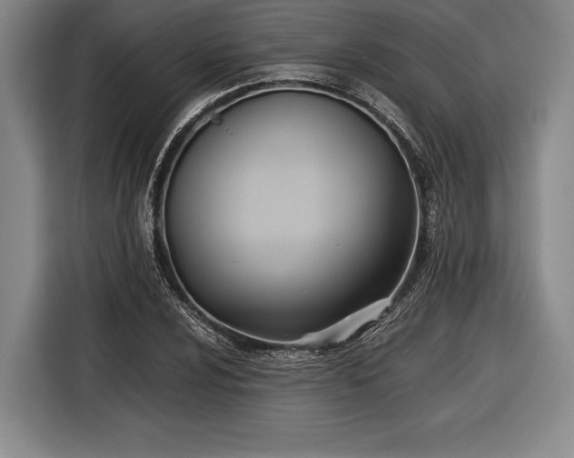 X0000116601024200912181142